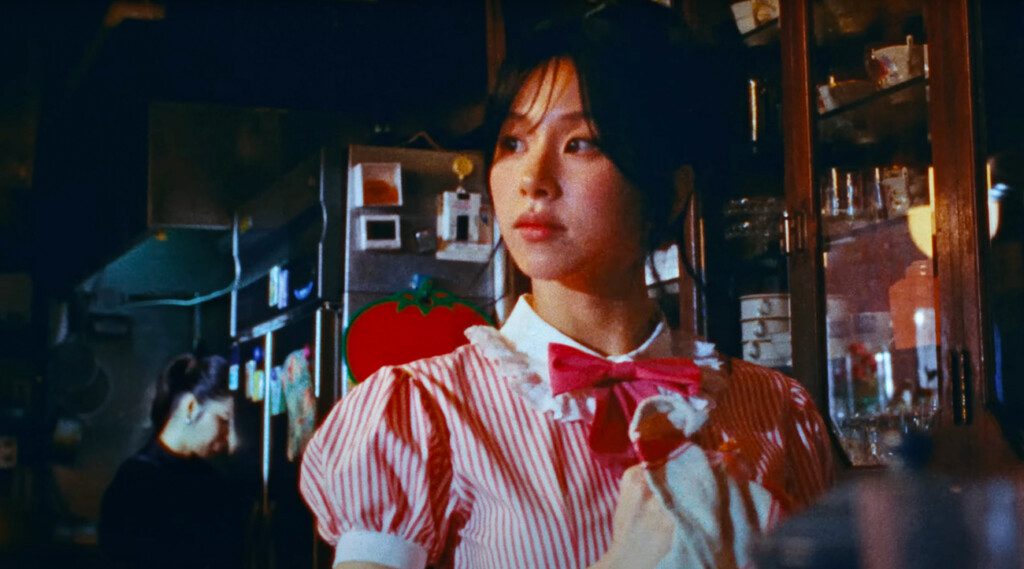 Welcome to LIL FANTASY CHAEYOUNG, she has introduced a refreshing soundscape that merges personal artistry and experimentation