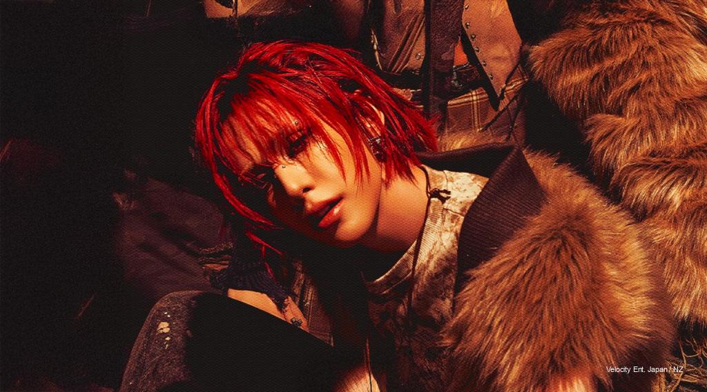 XLOV 2026 Asia-Pacific & North America Tour: Dates, Fan Meets, History, Members, and Full Discography Guide for EVOLs